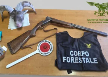 Controlli antibracconaggio del Corpo forestale a Gairo e Tertenia: accertata attività venatoria illecita in orario notturno. Sequestrati un fucile e altro materiale probatorio