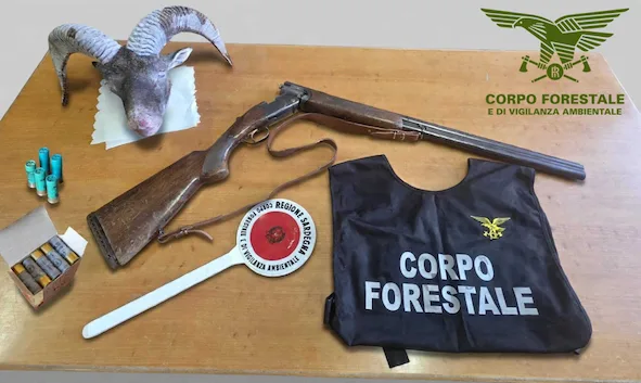 Controlli antibracconaggio del Corpo forestale a Gairo e Tertenia: accertata attività venatoria illecita in orario notturno. Sequestrati un fucile e altro materiale probatorio