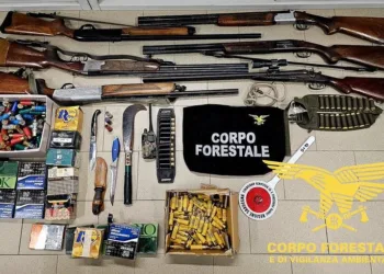 Operazione antibracconaggio a Decimonannu: denunce e sequestri 