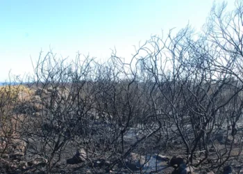 Incendi boschivi, a Cagliari il 14 e 15 ottobre il confronto europeo sulla resilienza dei territori